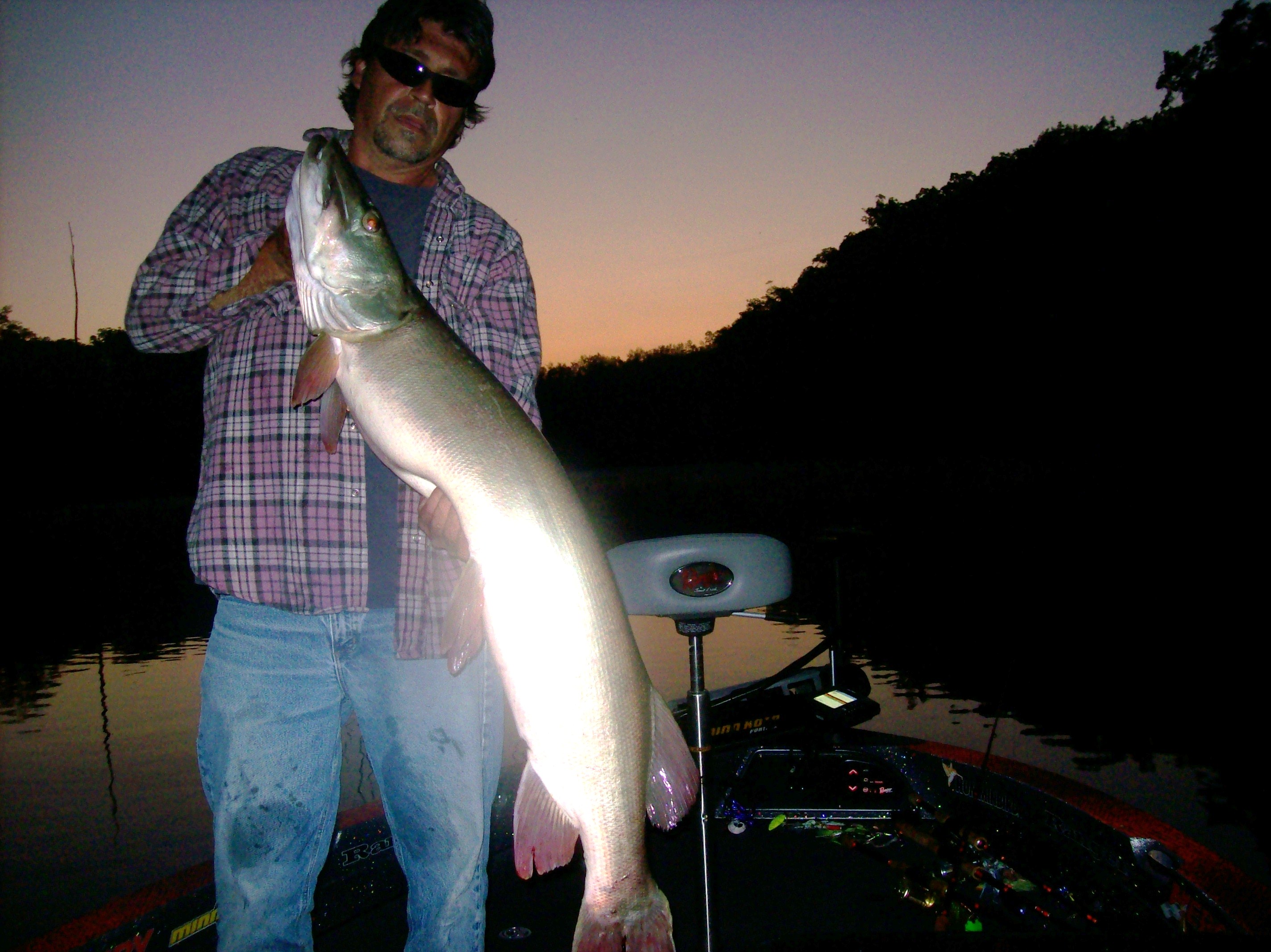 Dale Littleton 50in
