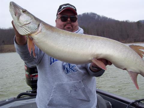 bill burns 46 inches 3-22-08