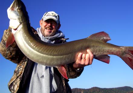 bruce johnson 44 inches