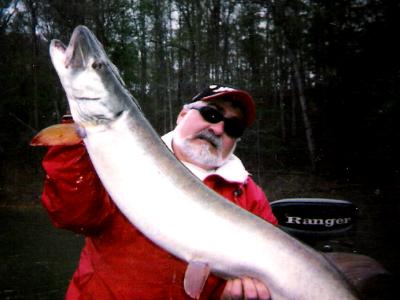 crash 50 incher