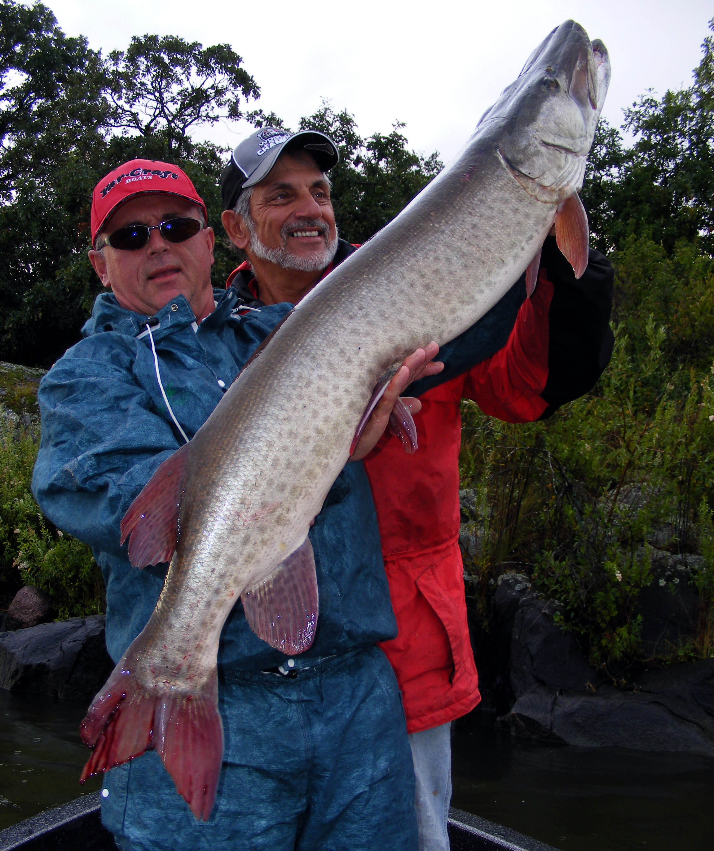 musky LOTW 08 3h
