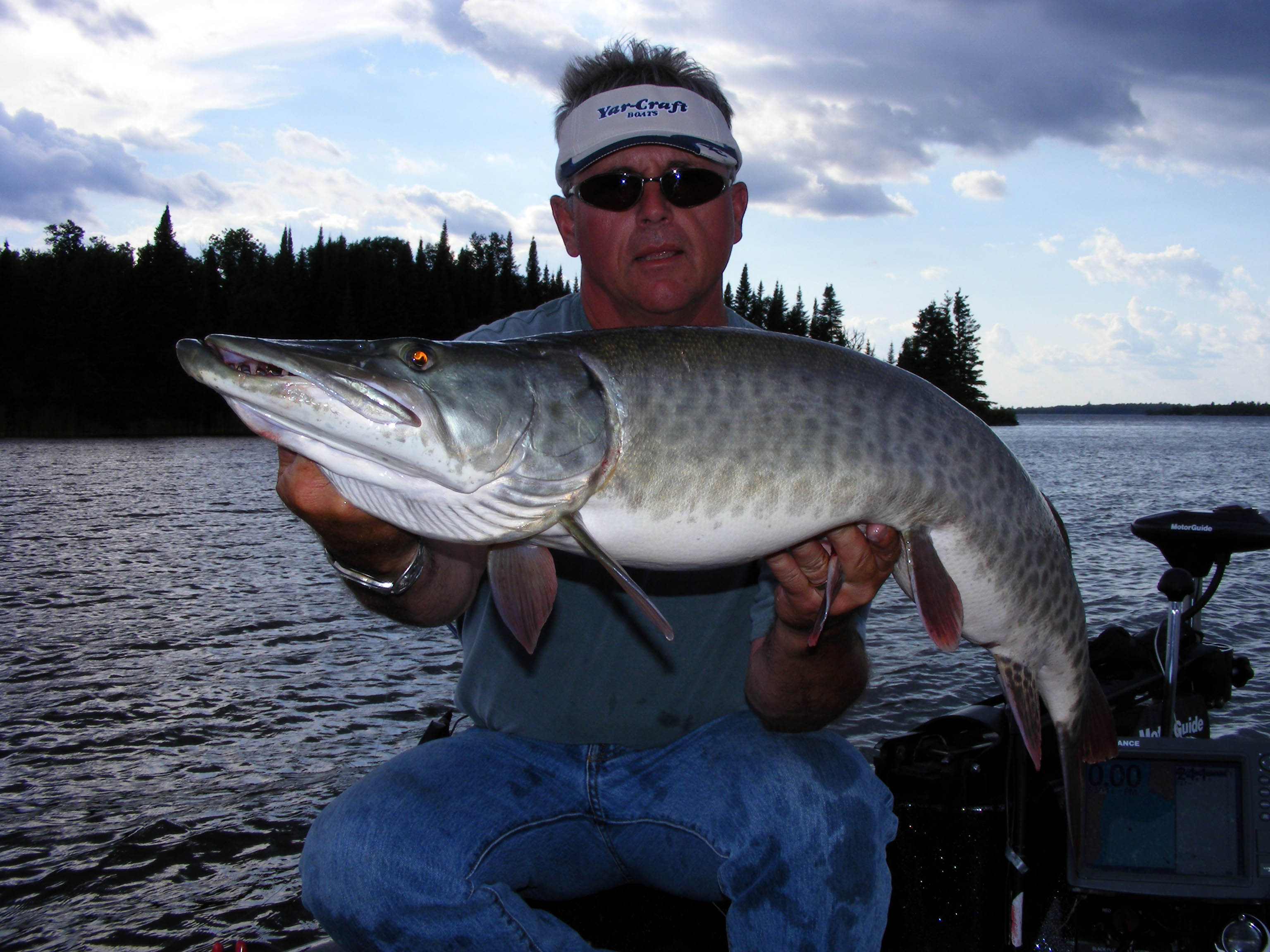 musky LOTW 08 4d