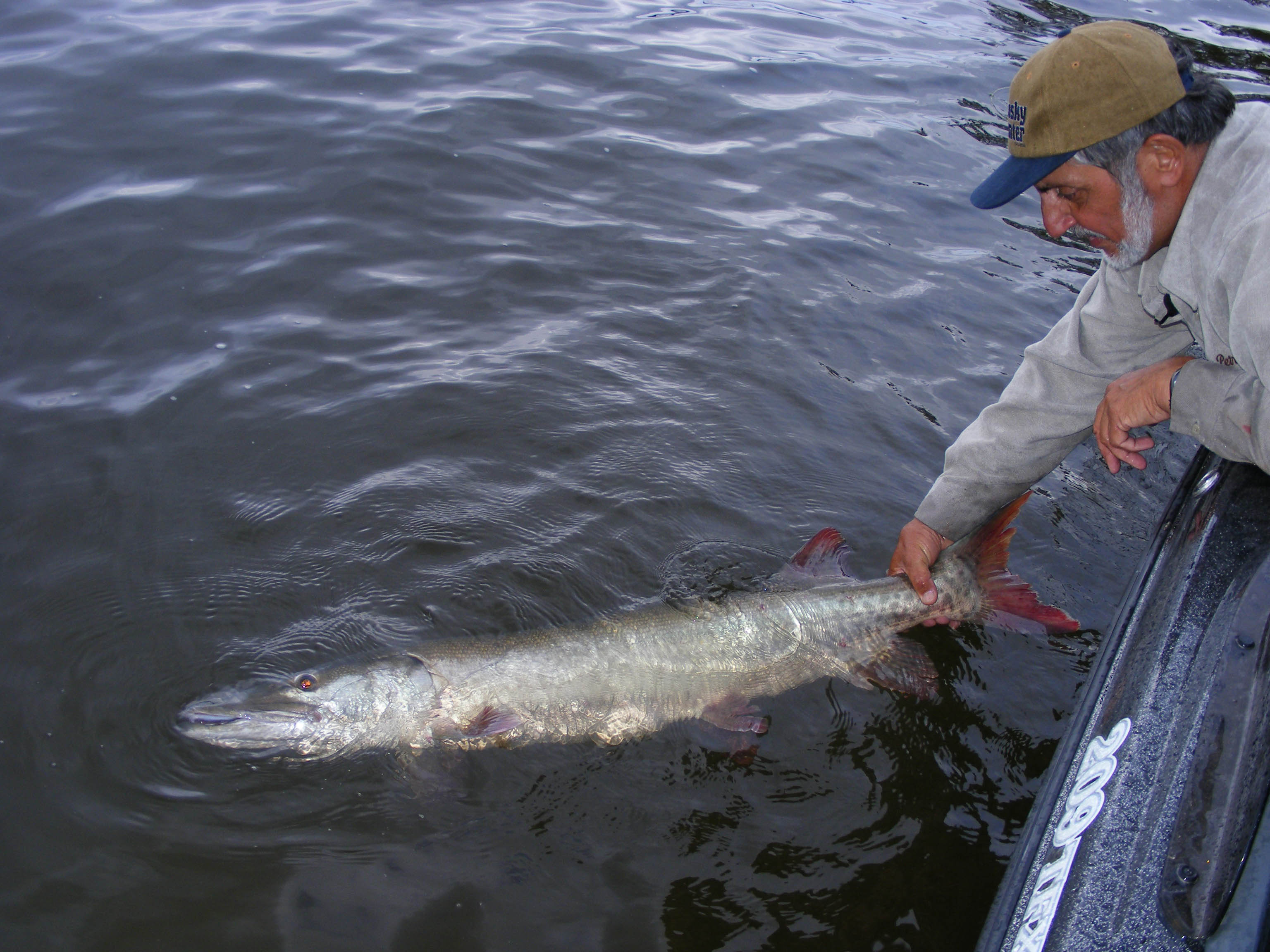 musky LOTW 2j