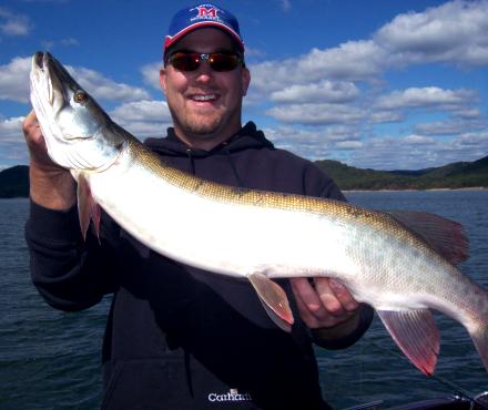 steve powers 34 inches