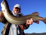 bruce johnson 44 inches