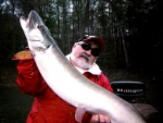 crash 50 incher