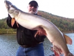 crash mullins 48 inches