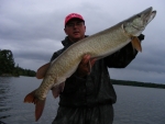 musky LOTW 08 2d