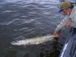 musky LOTW 2j