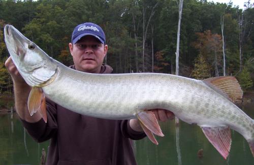 todd lewis 9-28-08