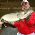 Why fish for Musky in Kentucky?